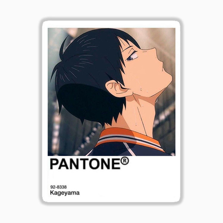 استیکر لپ تاپ و موبایل بووم طرح پنتون مدل انیمه kageyama کد N31