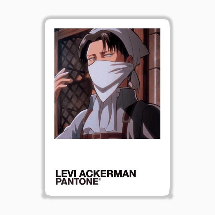 استیکر لپ تاپ و موبایل بووم طرح نقاشی پنتون مدل Levi کد MR31