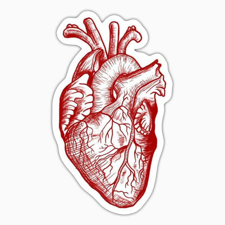 استیکر لپ تاپ و موبایل بووم طرح قلب کد UV093