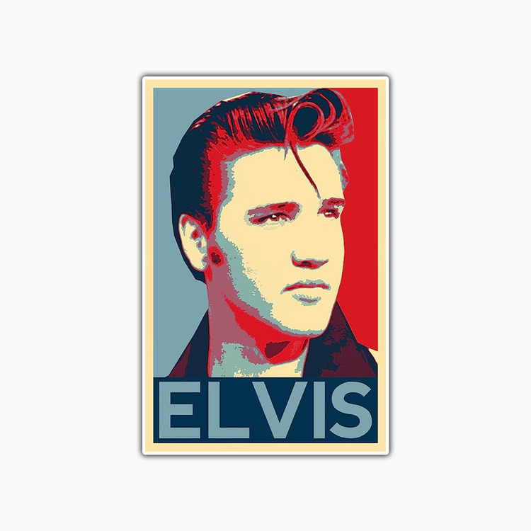 استیکر لپ تاپ و موبایل بووم طرح Elvis مدل RB کد FR30