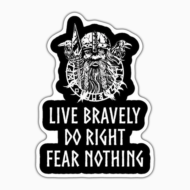 استیکر لپ تاپ و موبایل بووم طرح سریال Vikings مدل Fear Nothing کد LB68